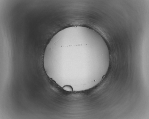 X0000110920307200906181221