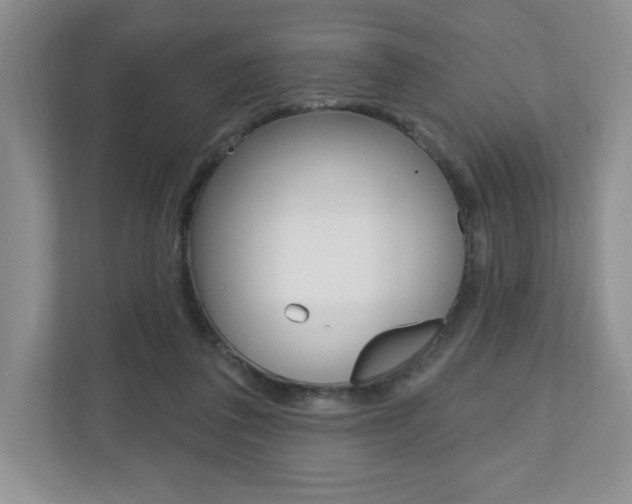X0000110920308200906181221