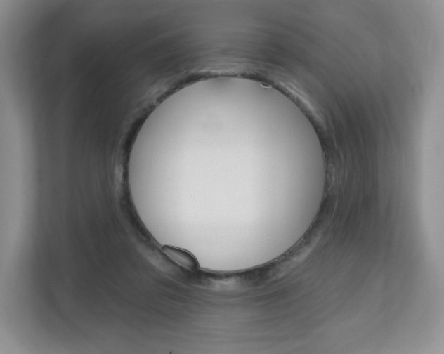 X0000110920309200906181221