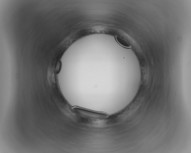 X0000110920313200906181221