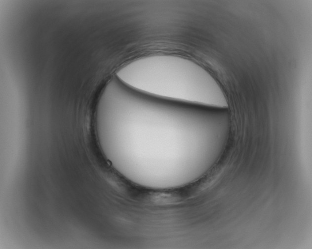 X0000110920315200906181221