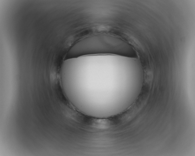 X0000110920324200906181221