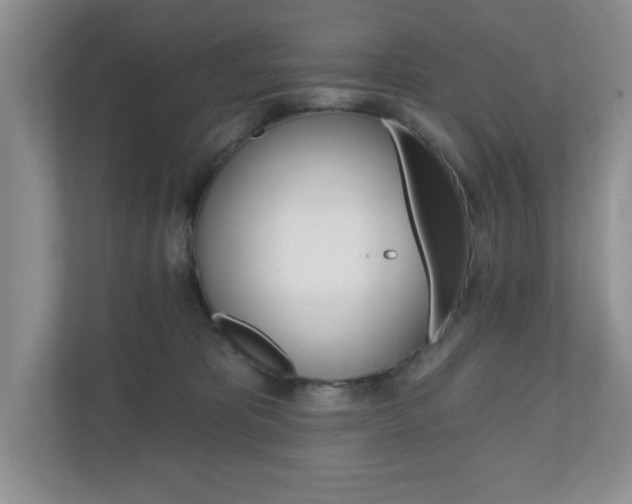 X0000110920325200906181221