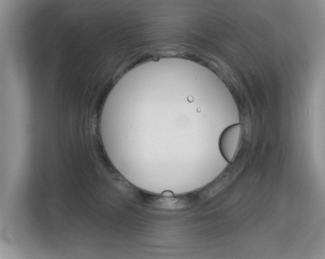 X0000110920326200906181221