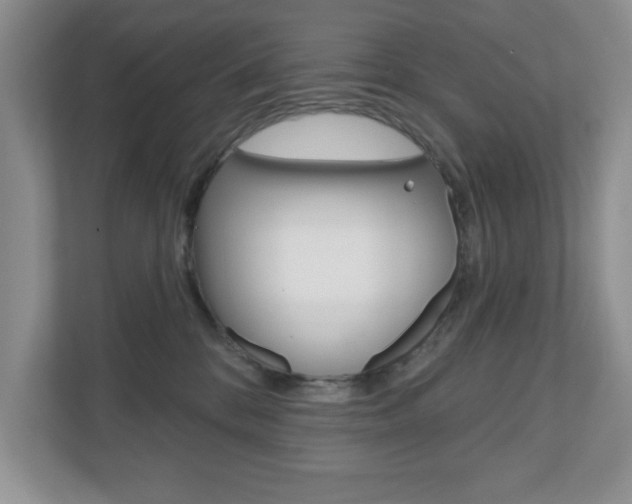 X0000110920328200906181221