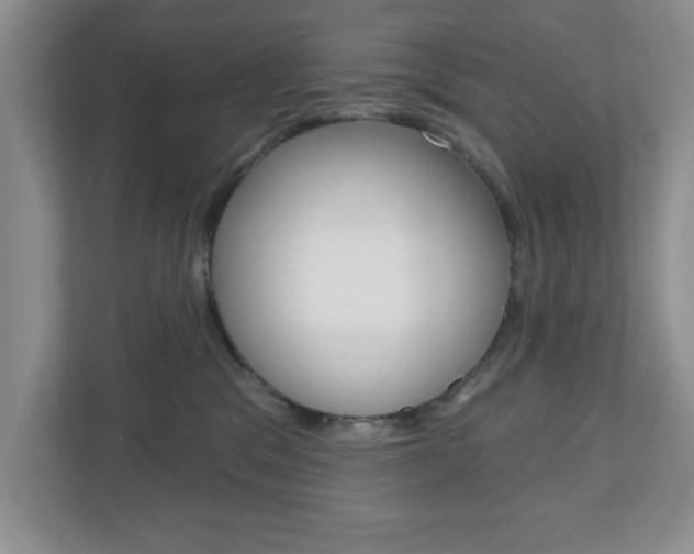 X0000110920329200906181221