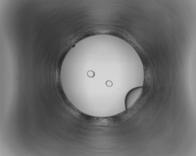 X0000110920330200906181221