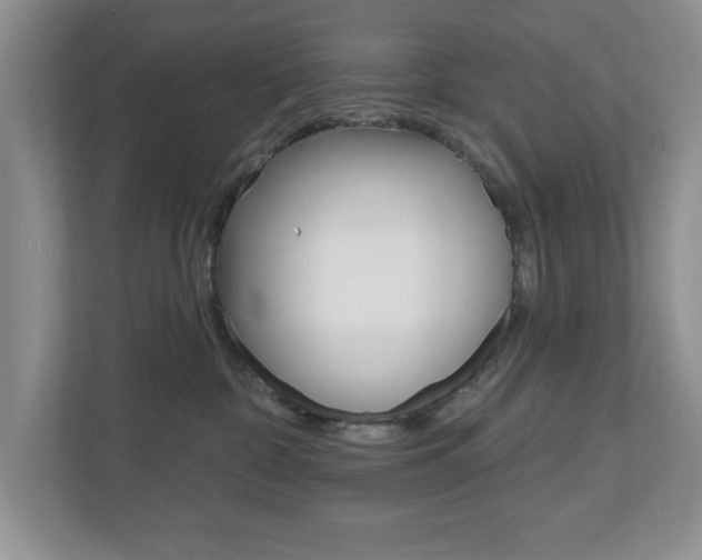 X0000110920332200906181221