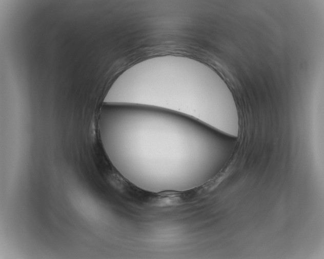 X0000110920333200906181221