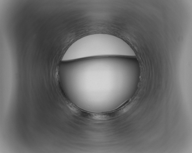 X0000110920336200906181221