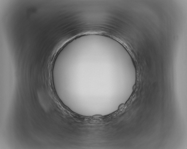 X0000110920337200906181220