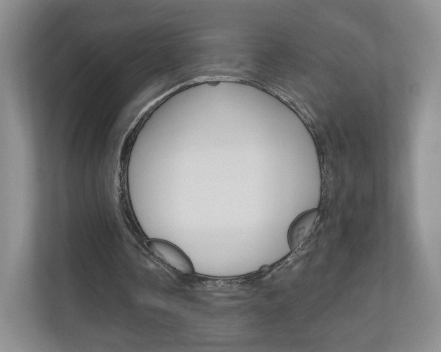 X0000110920338200906181220