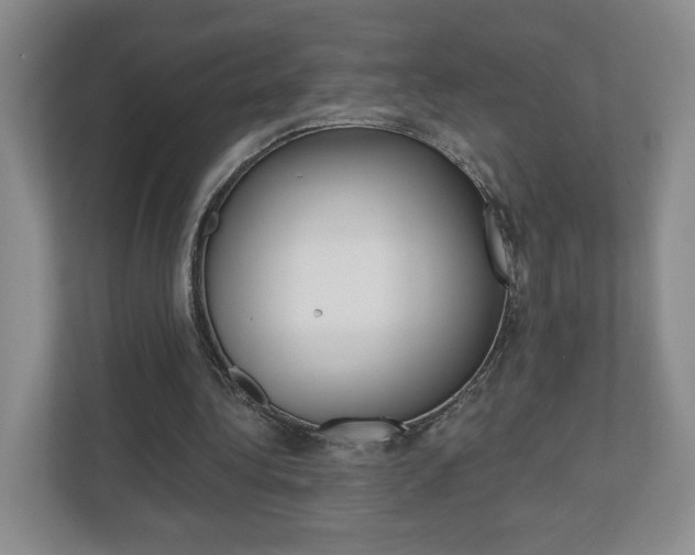 X0000110920340200906181220