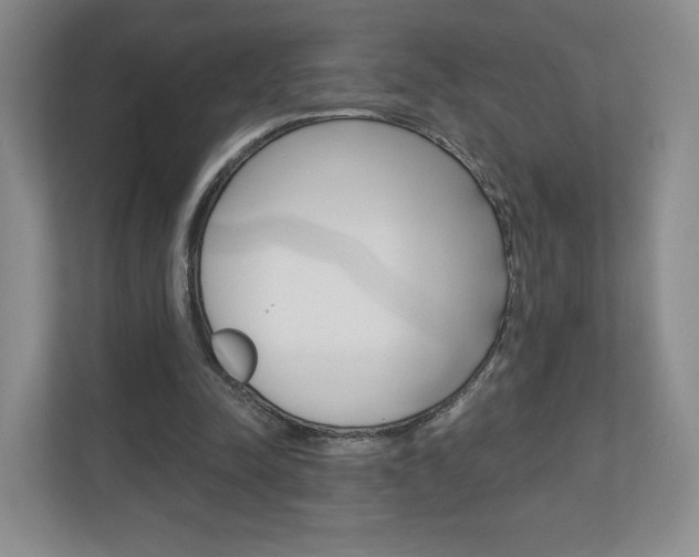 X0000110920342200906181220