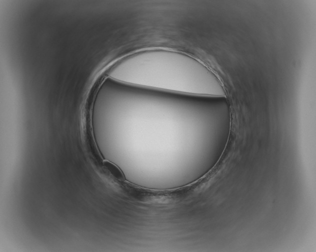 X0000110920344200906181220