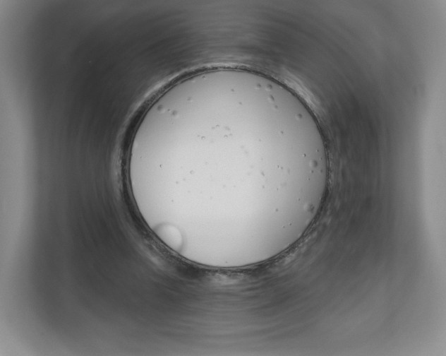 X0000110920346200906181220