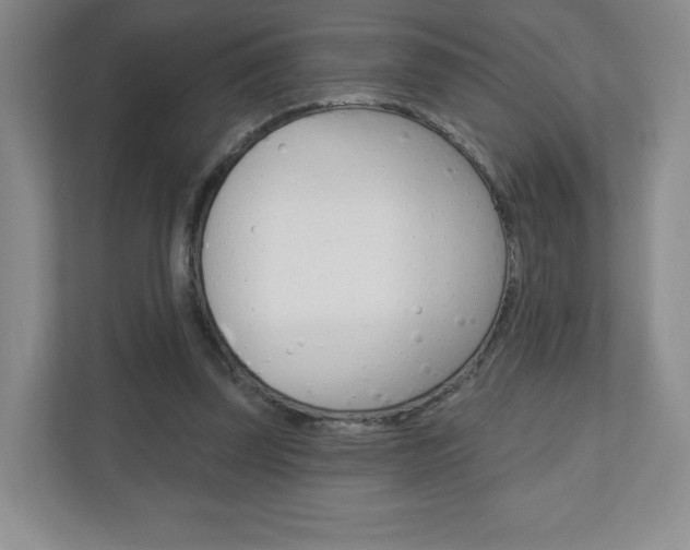 X0000110920347200906181220