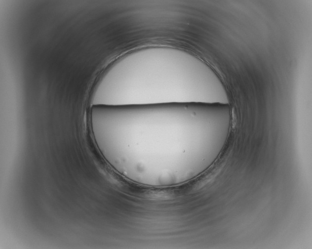 X0000110920349200906181220
