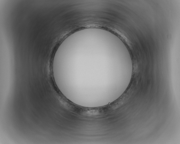 X0000110920353200906181220