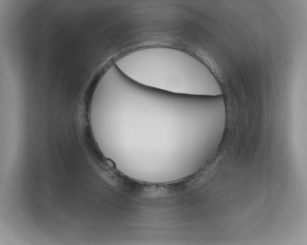 X0000110920354200906181220
