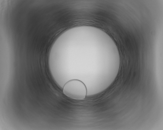 X0000110920360200906181220