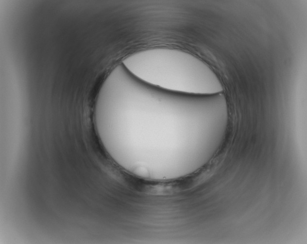 X0000110920366200906181220