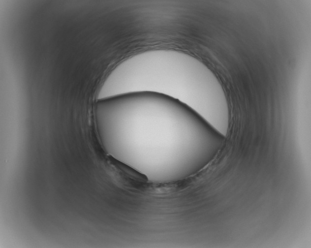 X0000110920368200906181221