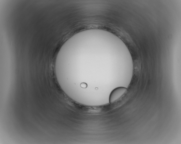 X0000110920369200906181221