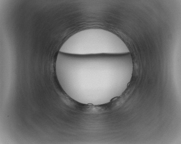 X0000110920379200906181221