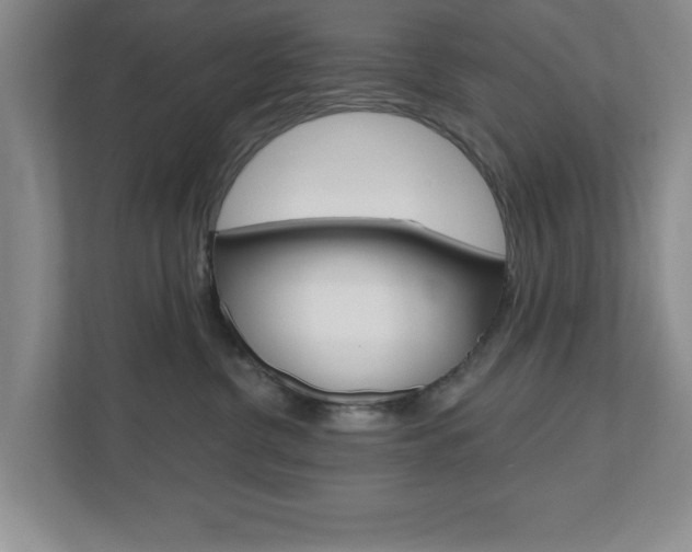 X0000110920380200906181221