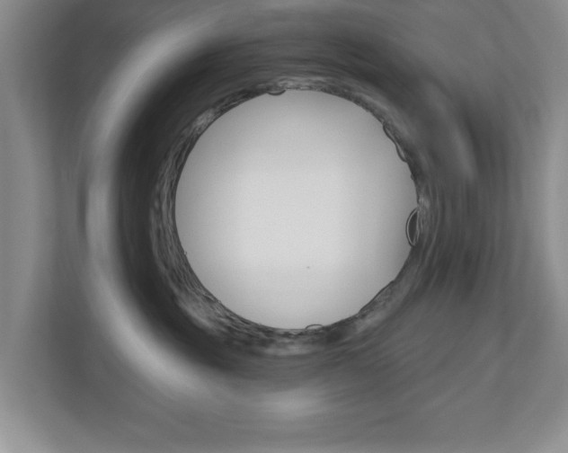 X0000110920381200906181221