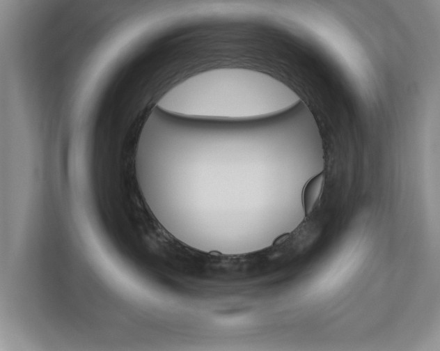 X0000110920383200906181221