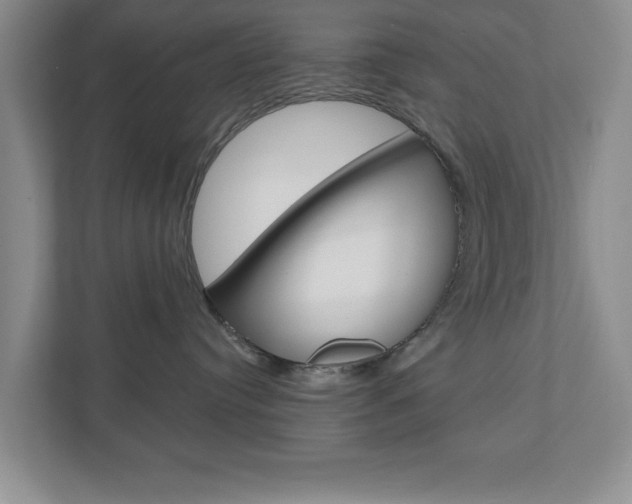 X0000110920384200906181221