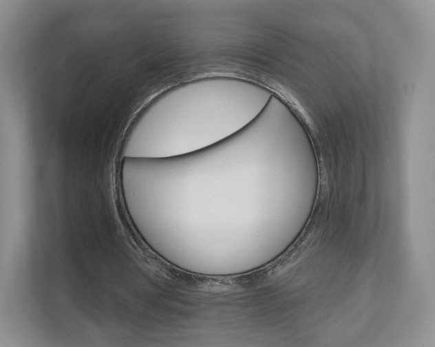 X0000110920386200906181220