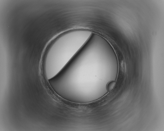 X0000110920388200906181220