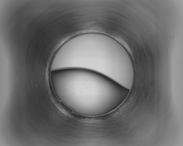 X0000110920389200906181220