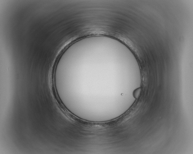 X0000110920390200906181220