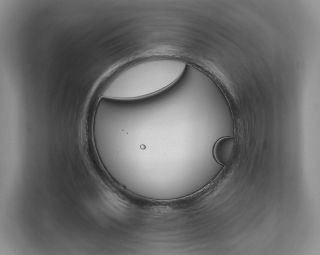 X0000110920392200906181220