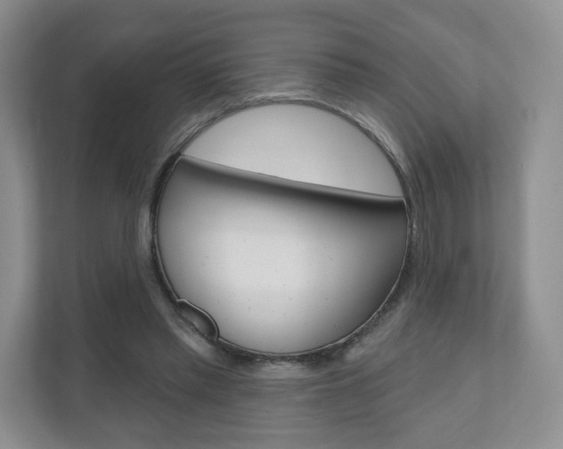 X0000110920397200906181220