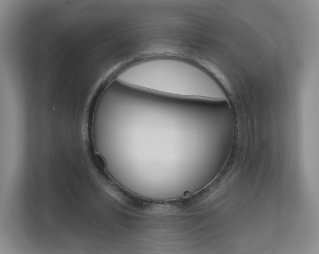 X0000110920399200906181220