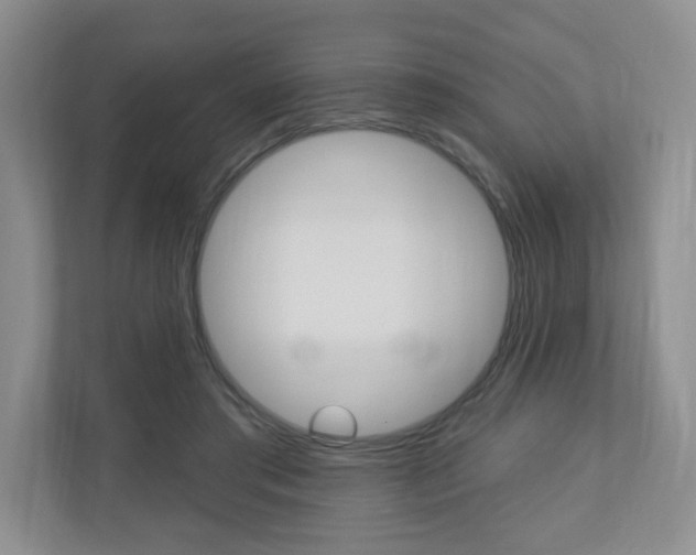X0000110920405200906181220