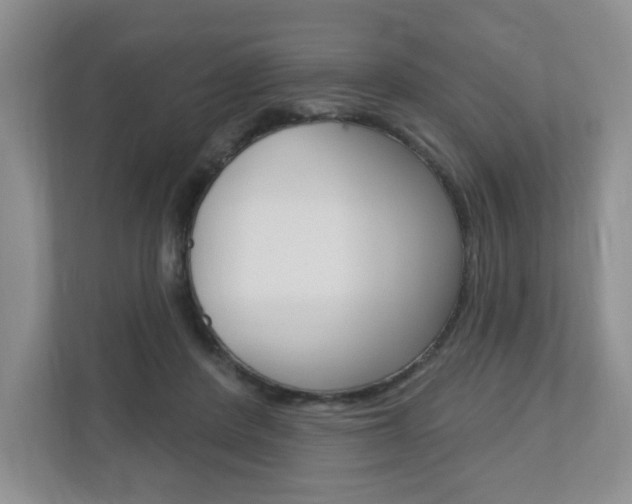 X0000110920408200906181220