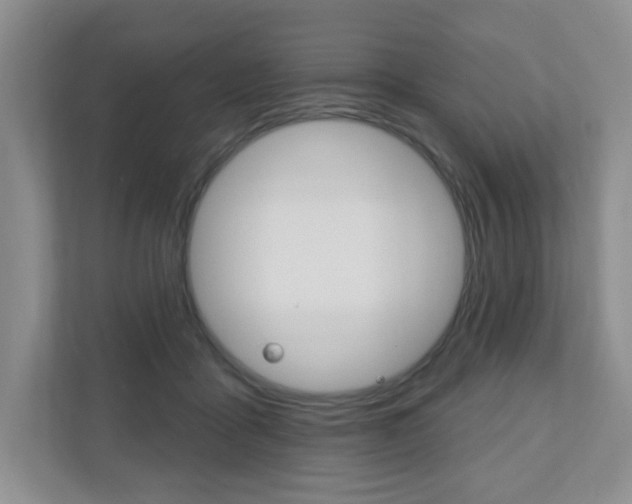 X0000110920411200906181220