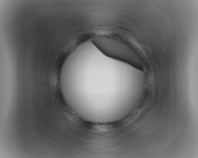 X0000110920417200906181220