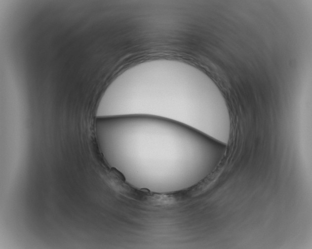 X0000110920421200906181220