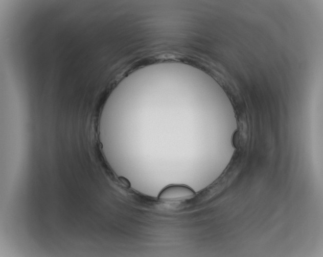 X0000110920422200906181220