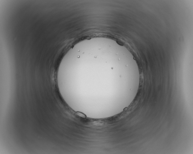 X0000110920423200906181220