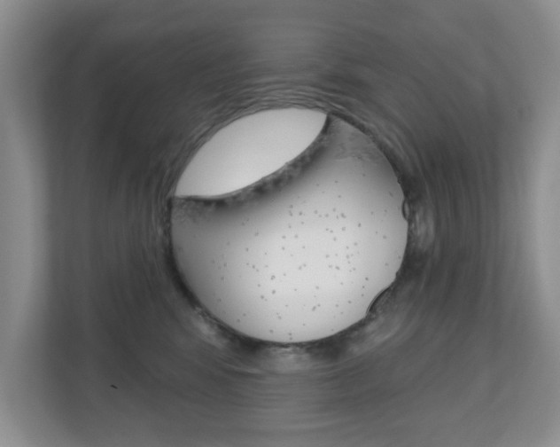 X0000110920424200906181220