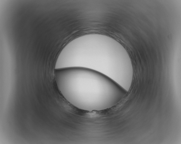 X0000110920425200906181220