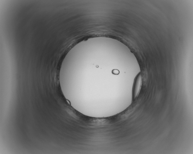 X0000110920428200906181220